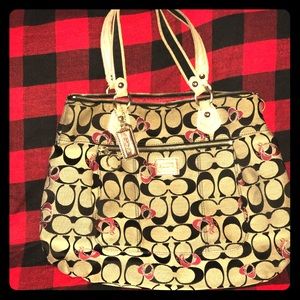 Beautiful pattern, medium to large coach